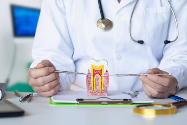 Best Broken or Cracked Tooth Emergency Dentist in Rainbow Lakes Estates, FL